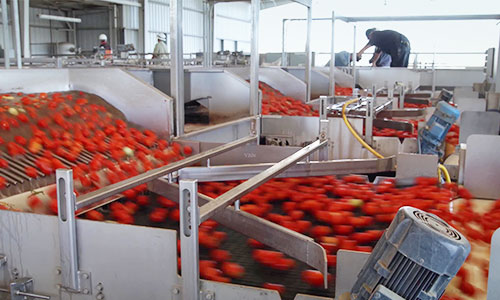 食品、飲料行業的電機